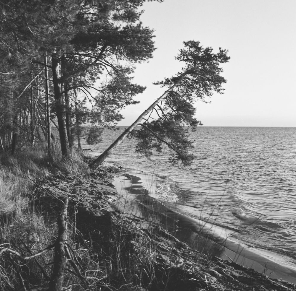 Photograph by Александр Дроздов