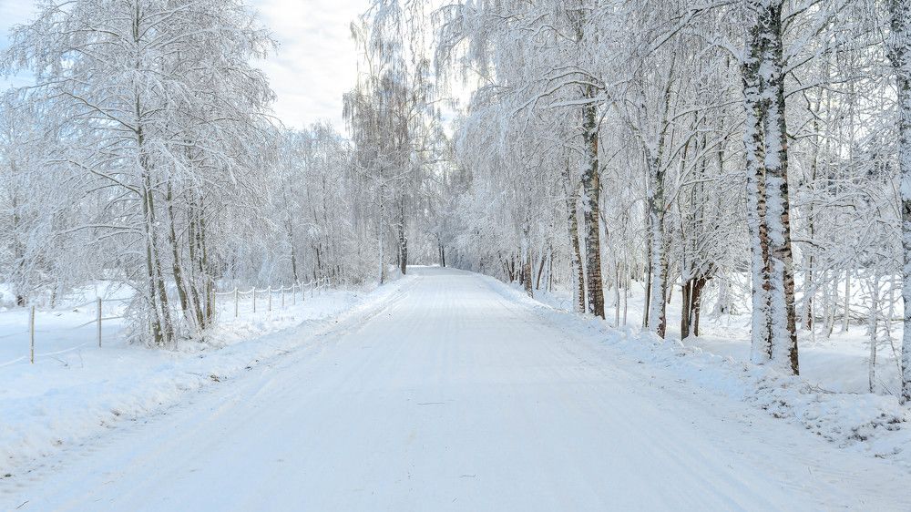 Фотография автора Aлексей Игнатьев