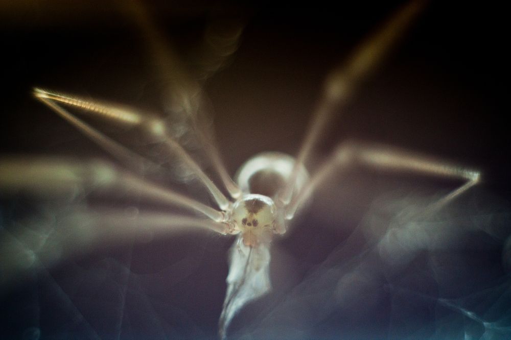 Photograph by Игорь Юркивский