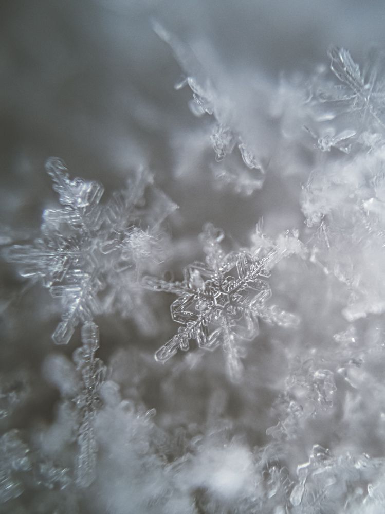 Photograph by Александр Безуглый