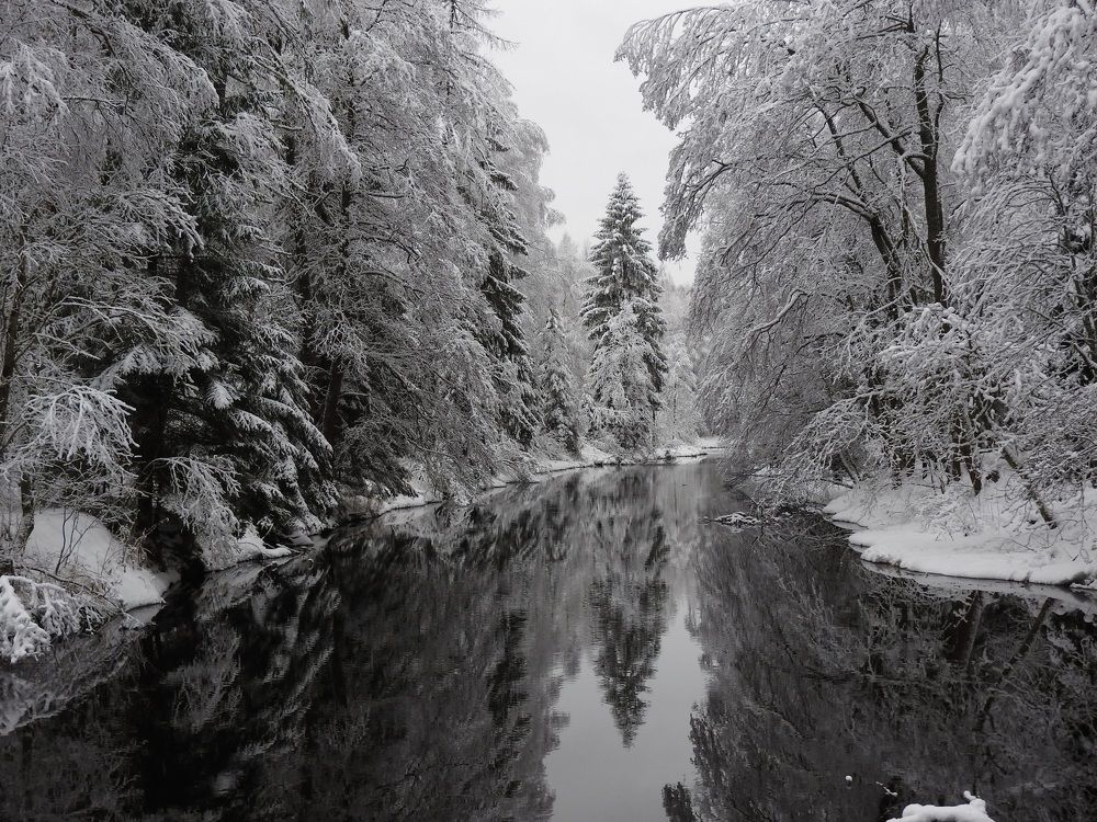 Фотография автора Юлия Овчинникова