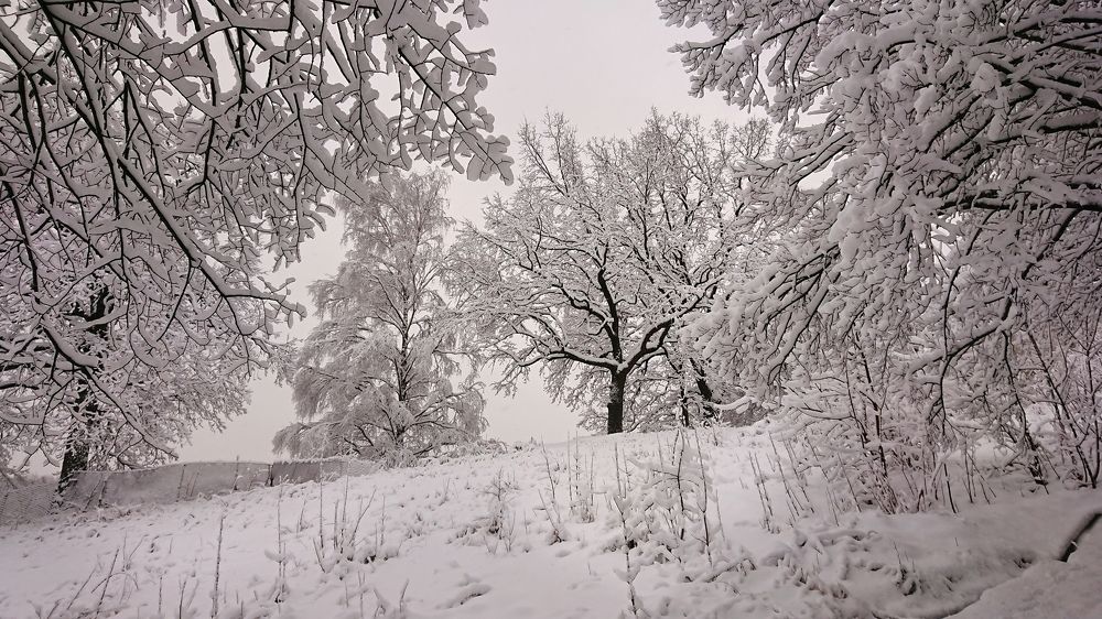 Photograph by Сергей Шляга