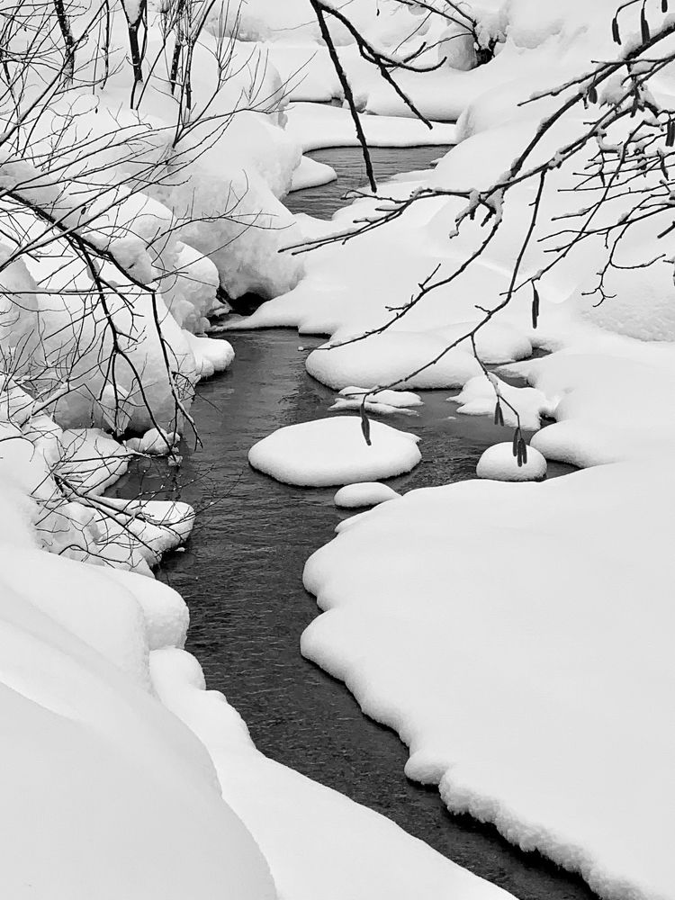 речка Чертановка