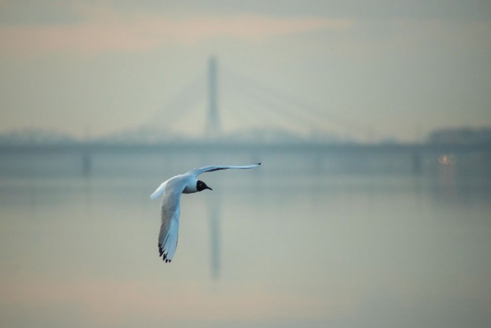 Фотография автора Aлексей Игнатьев