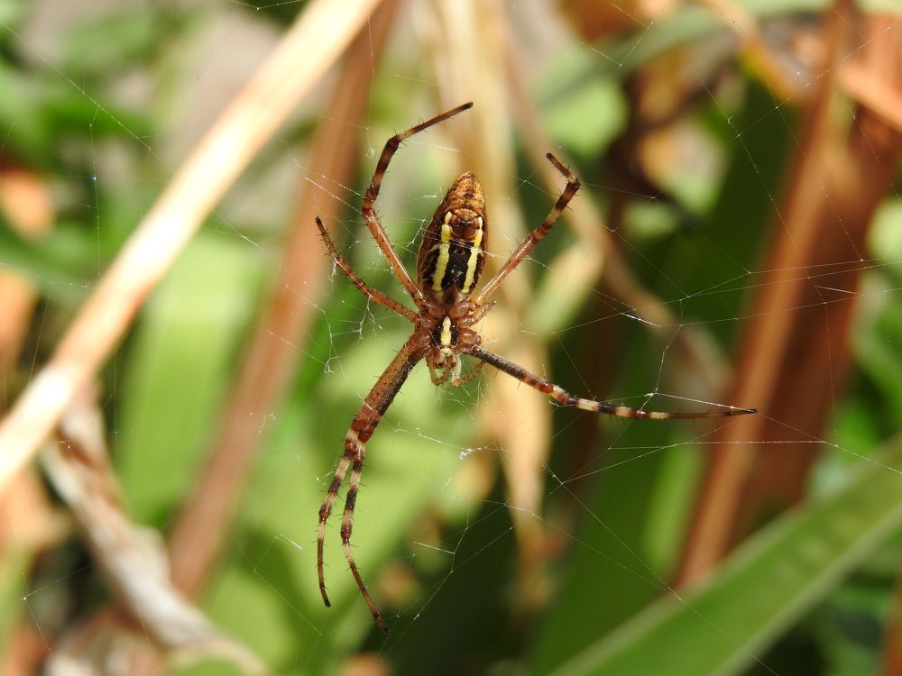 Фотография автора Юлия Овчинникова