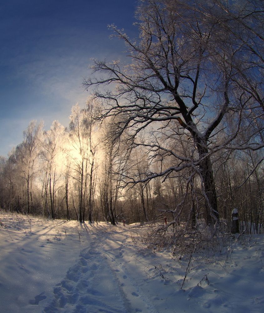 Photograph by Сергей Шляга