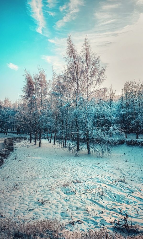 Photograph by Анна Санфирова