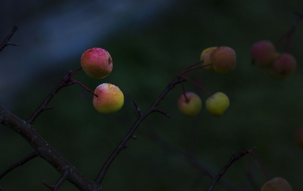 Photograph by Наталия Колтакова