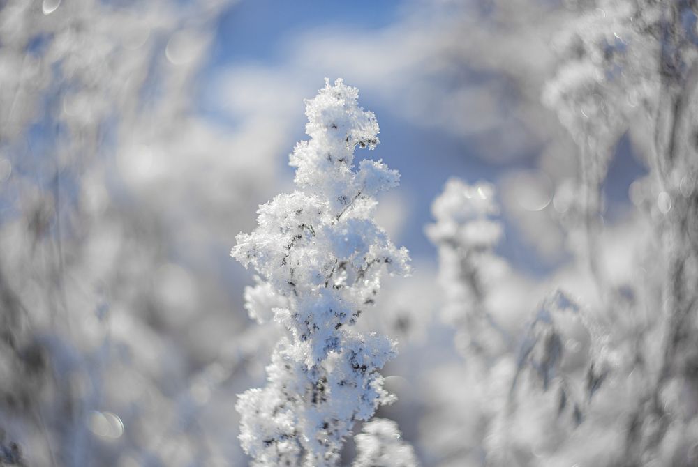 Photograph by Наталия Колтакова