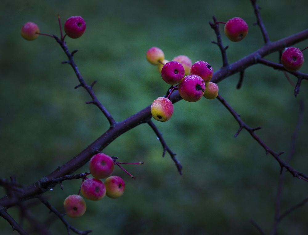 Photograph by Наталия Колтакова