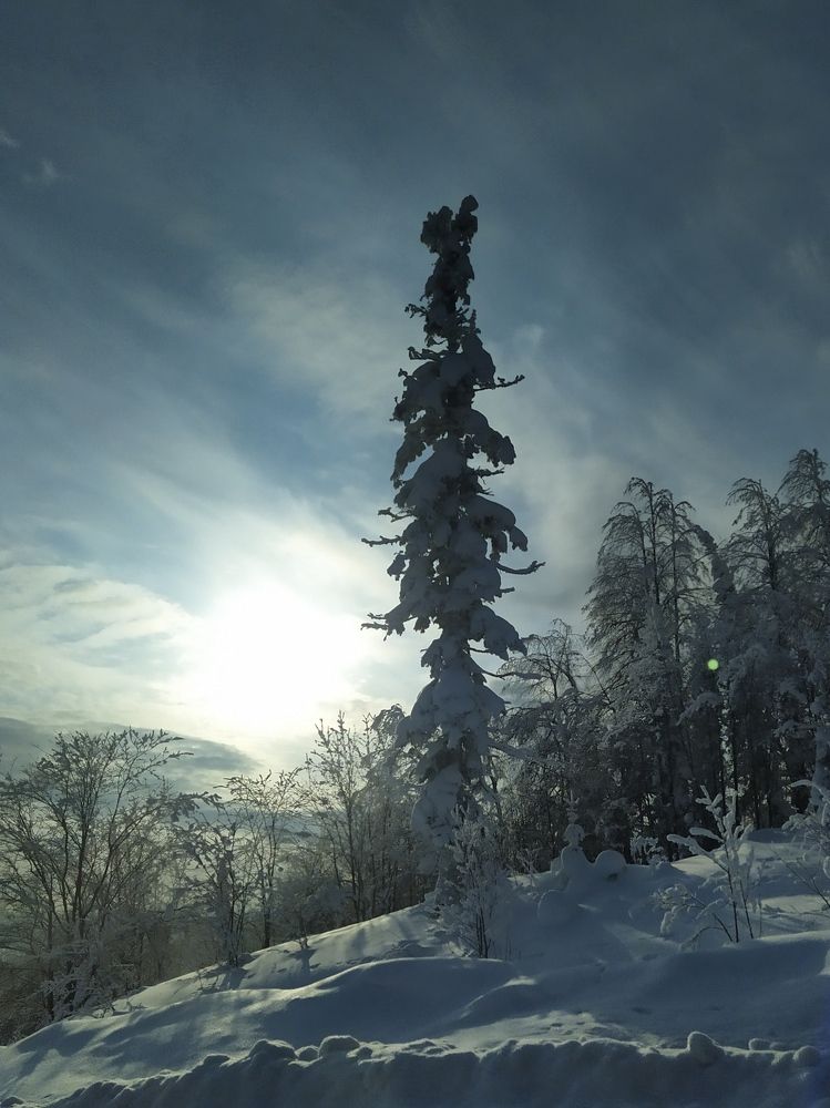 Photograph by Надежда