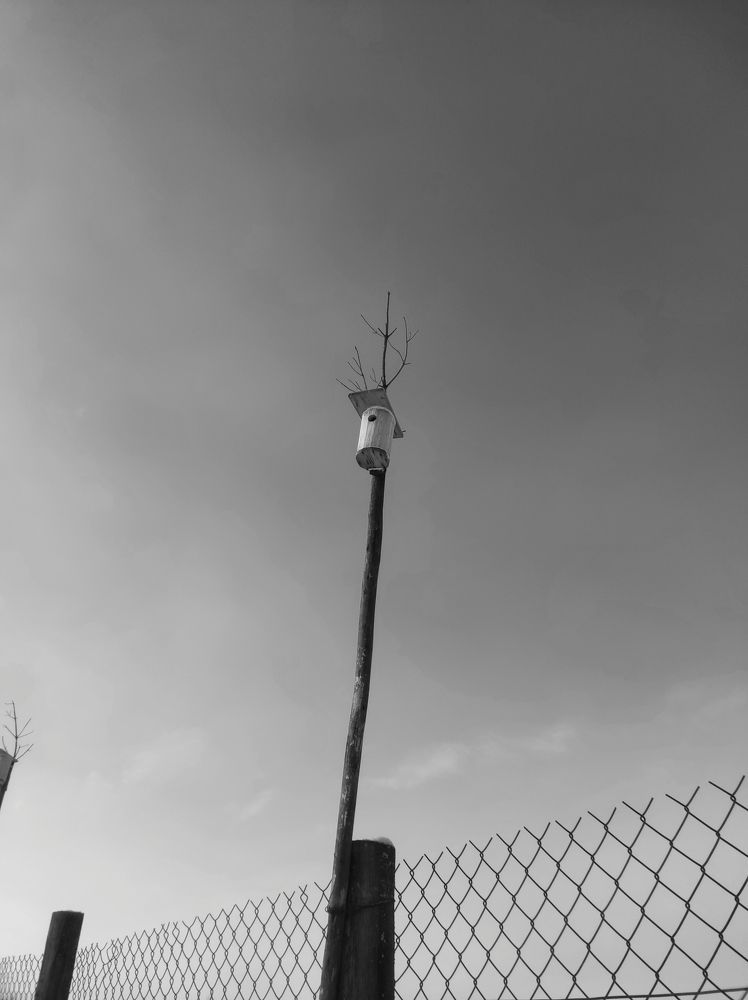 Photograph by Ирина Саттарова