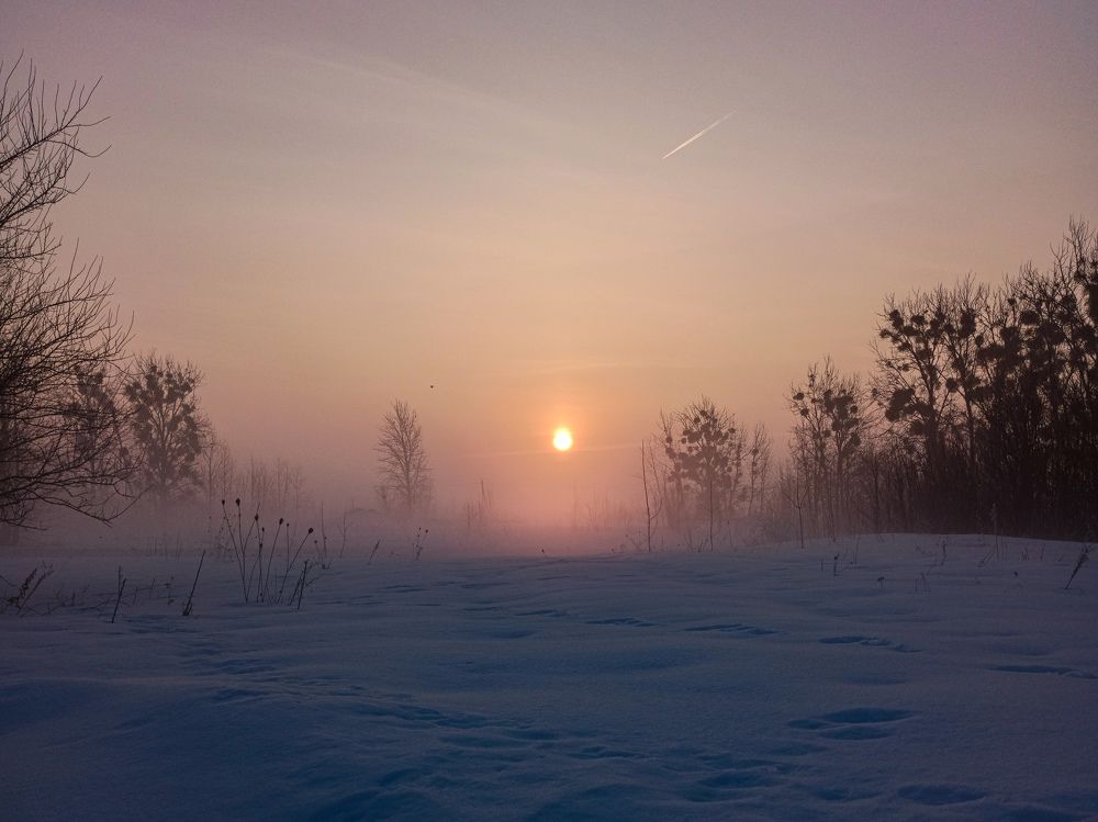 Photograph by Анастасия Кулешевич