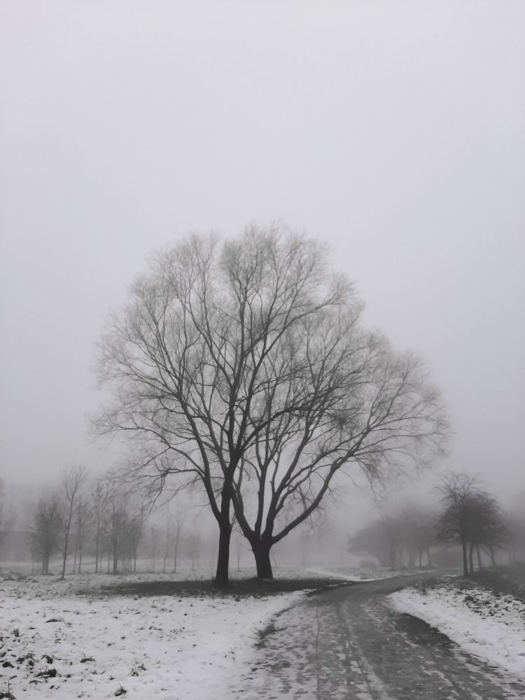 Photograph by Оксана Корепанова