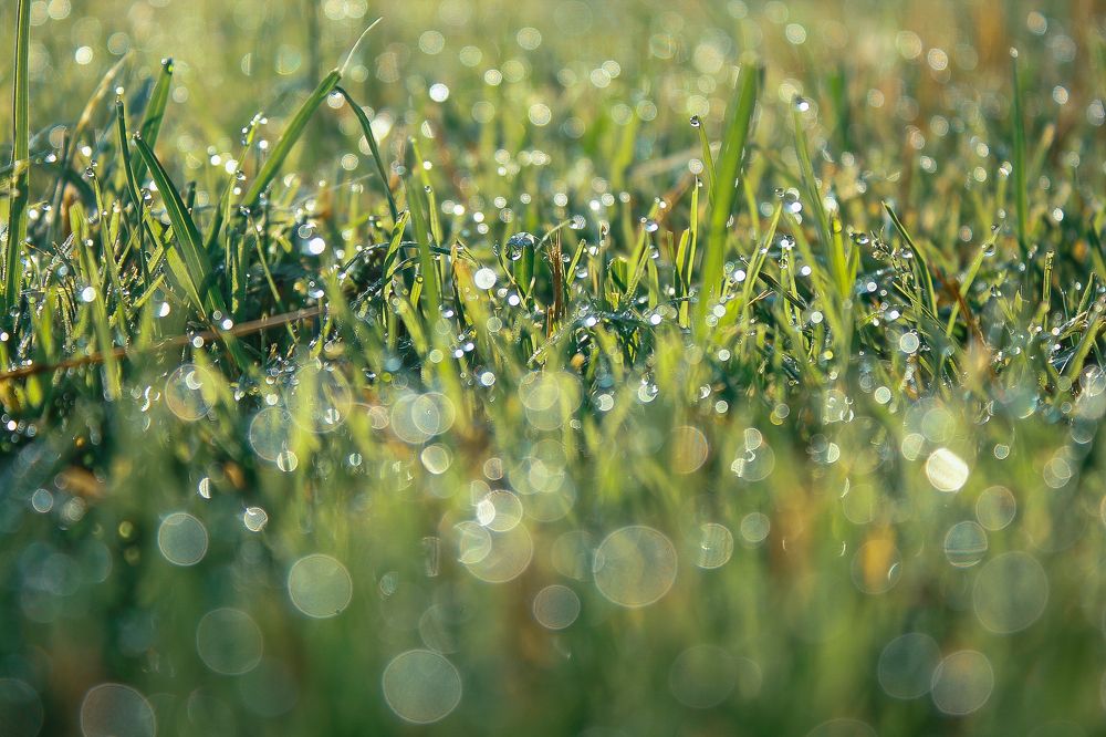 Фотография автора Наталія Савка