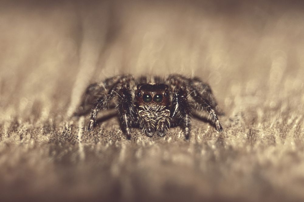 Photograph by Shahariar Alam