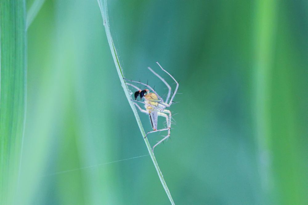 Photograph by Shahariar Alam