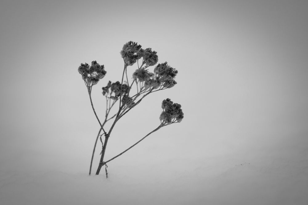 Photograph by Алексей Литвинов