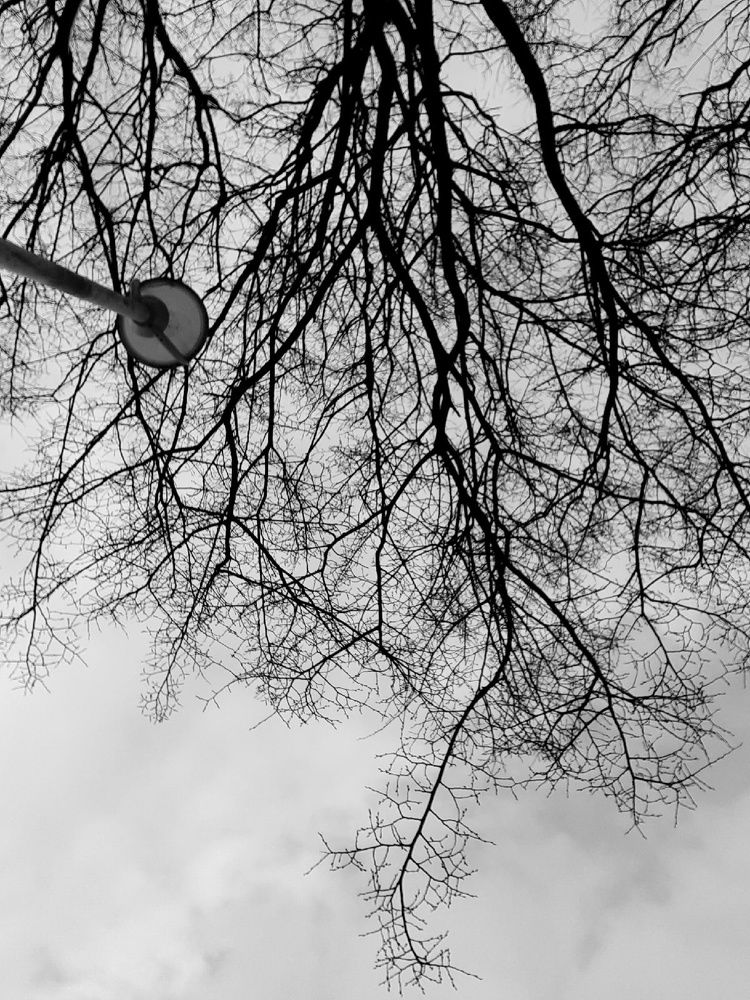 Photograph by Евгения Ульянова