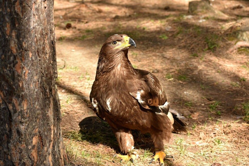 Photograph by Наталья Аржинт