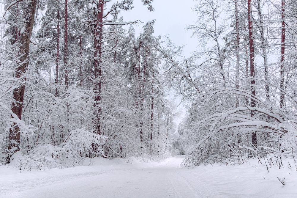 Photograph by Valdis Serzhans