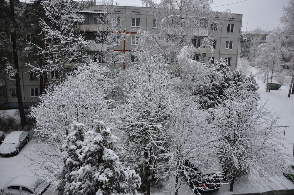 Photograph by Анатолий Смирнов