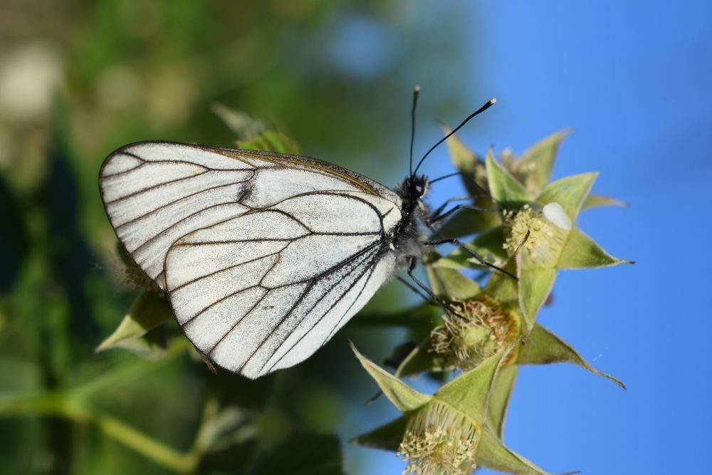 Photograph by Татьяна Дорожко