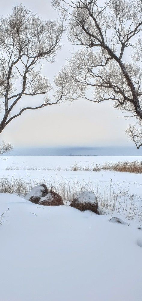 Photograph by Надежда Кудрявцева