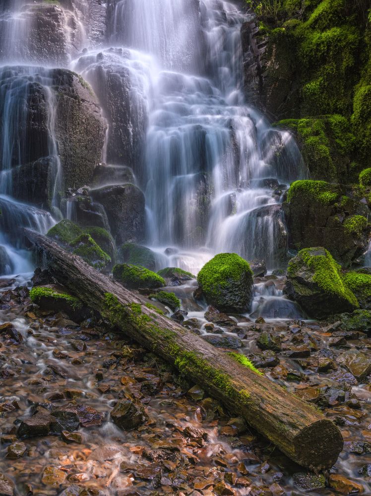 Не будь бревном, будь водопадом