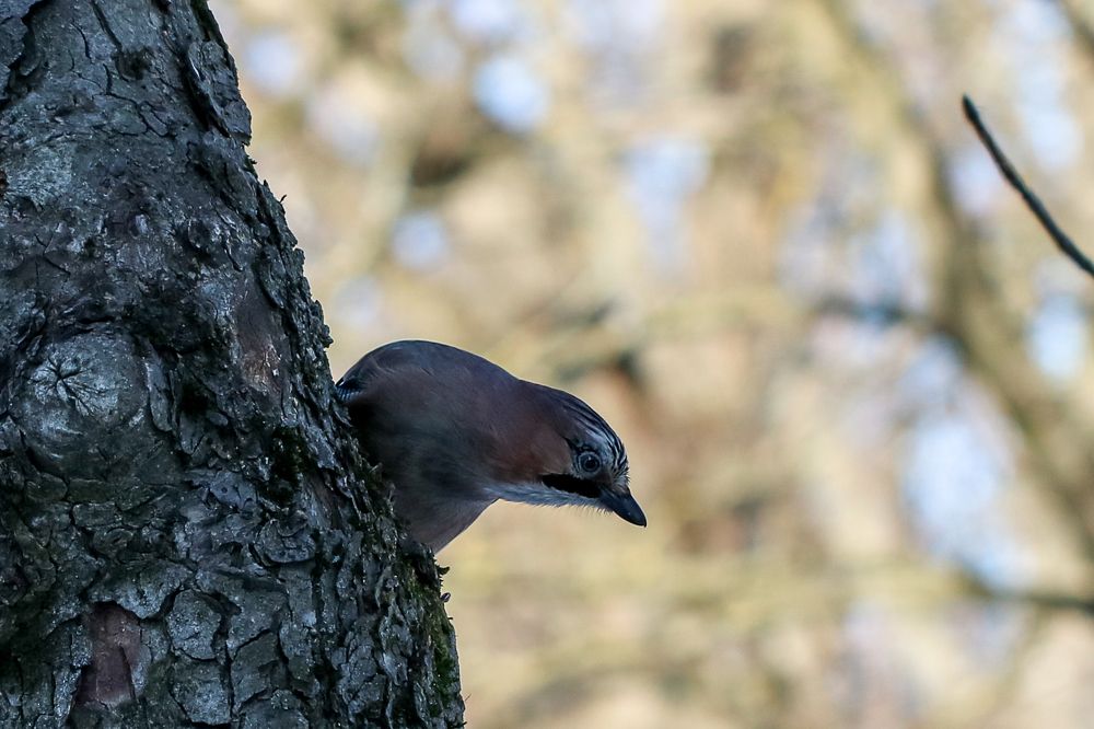 Photograph by Надежда Зайцева