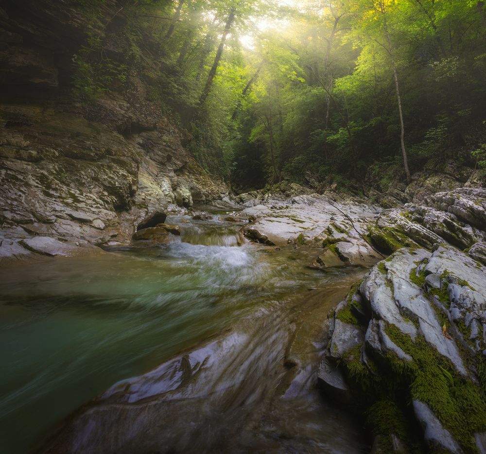 Photograph by Александр Дударев