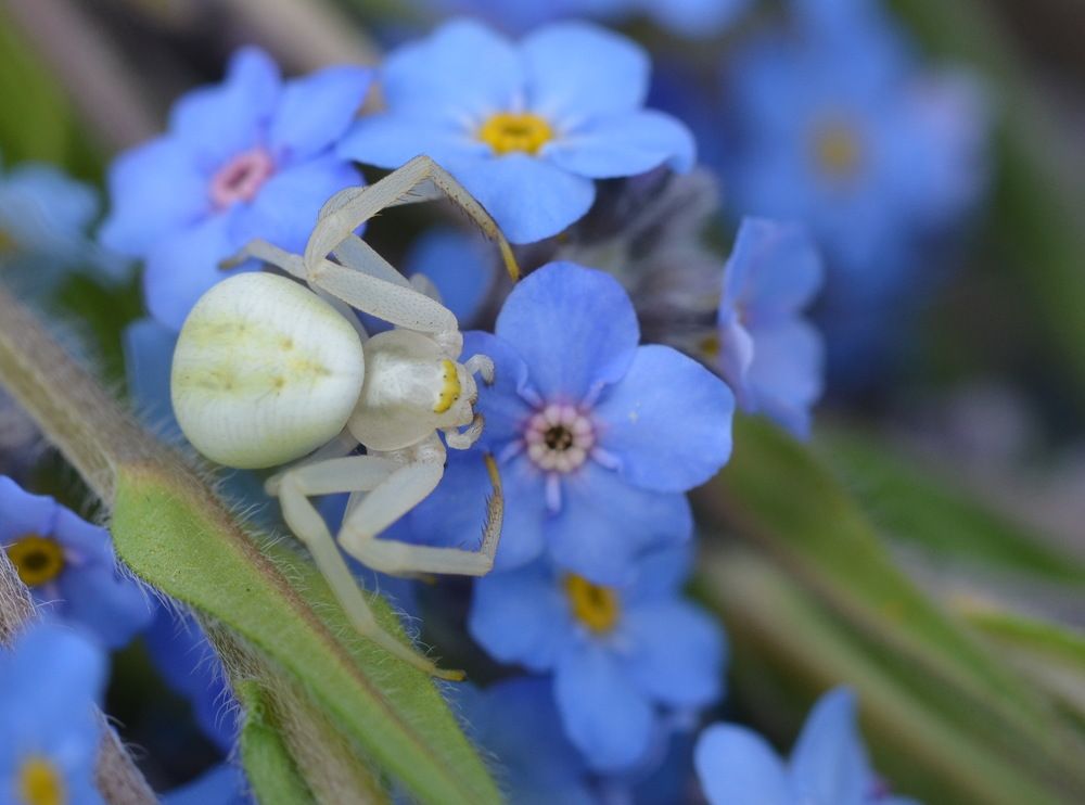 Photograph by Людмила Воропаева