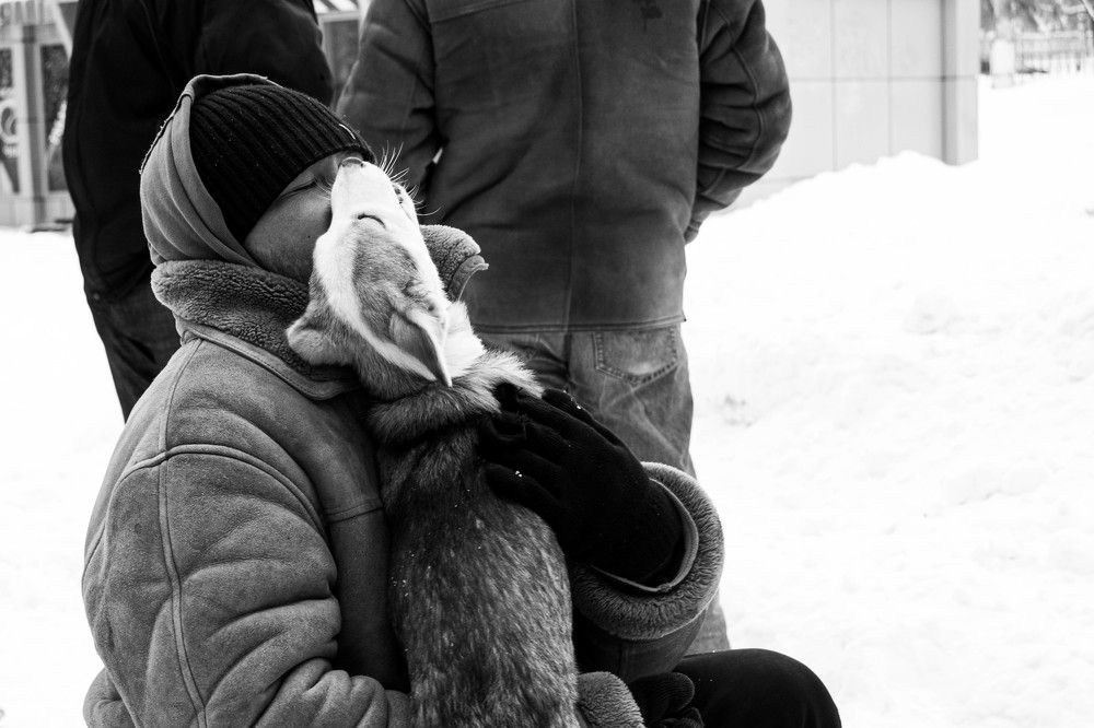 Photograph by Светлана Глыбочко