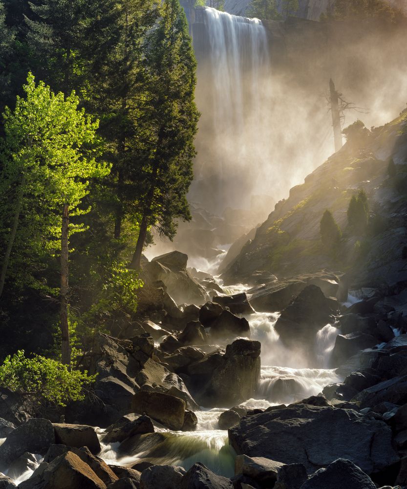 Tribute by Ansel Adams