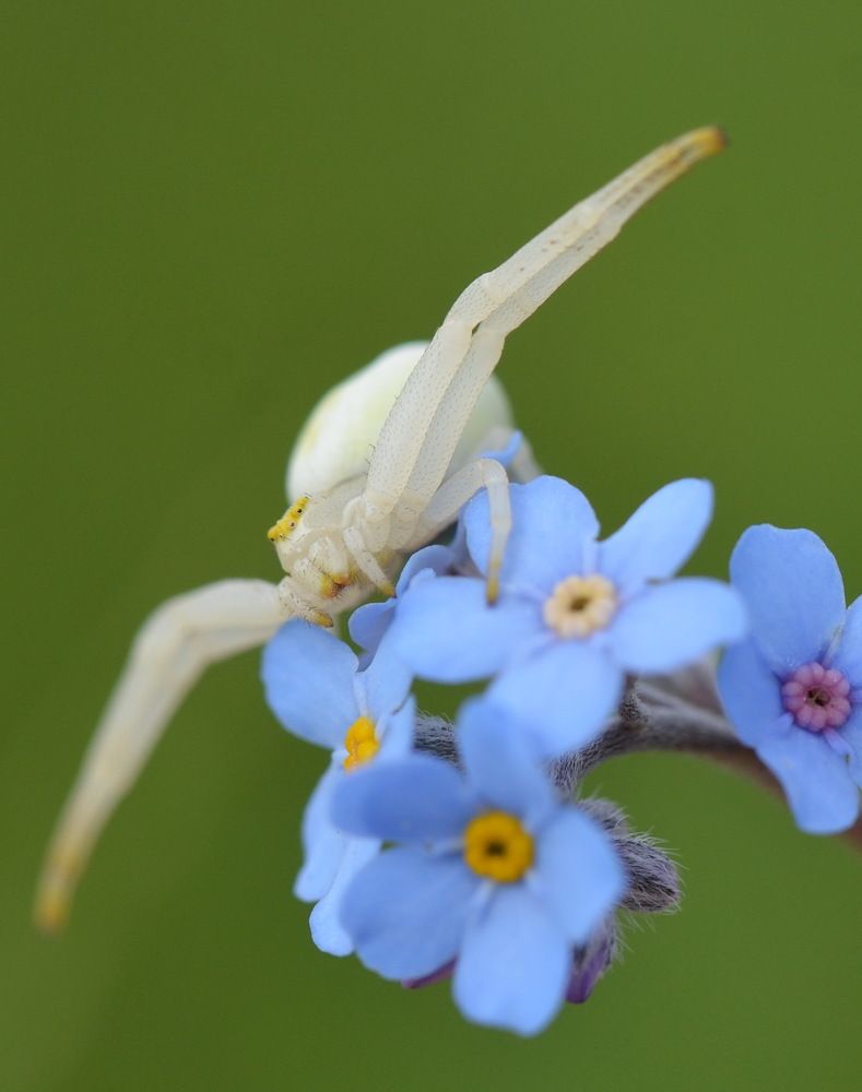 Photograph by Людмила Воропаева