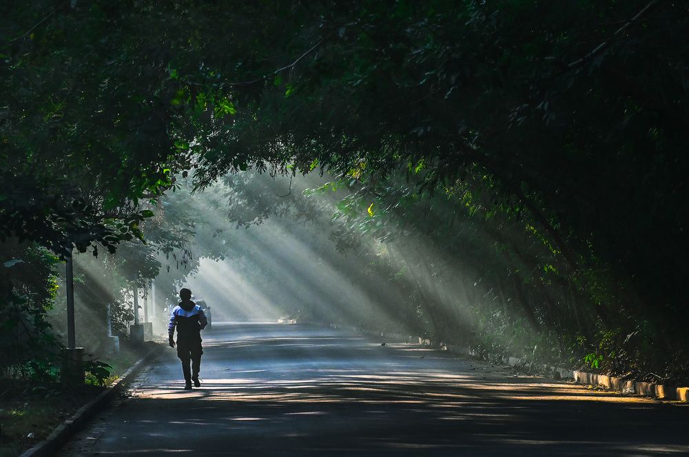 Walking through the bright path
