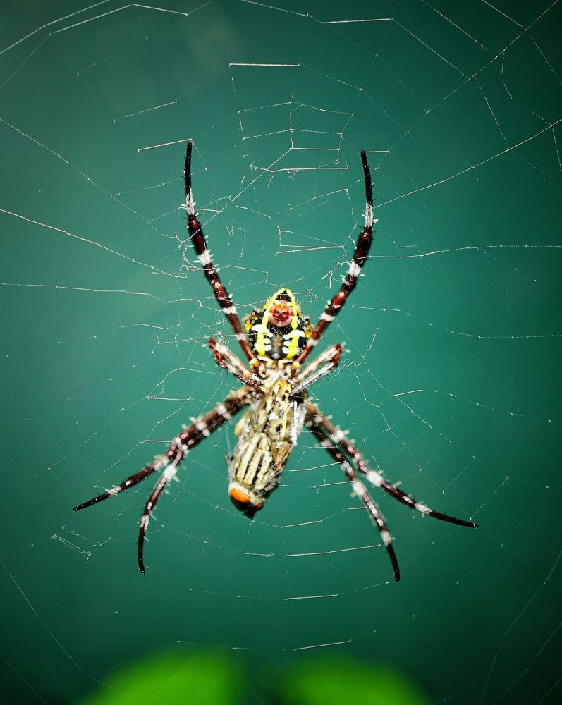 Photograph by Yustiawan