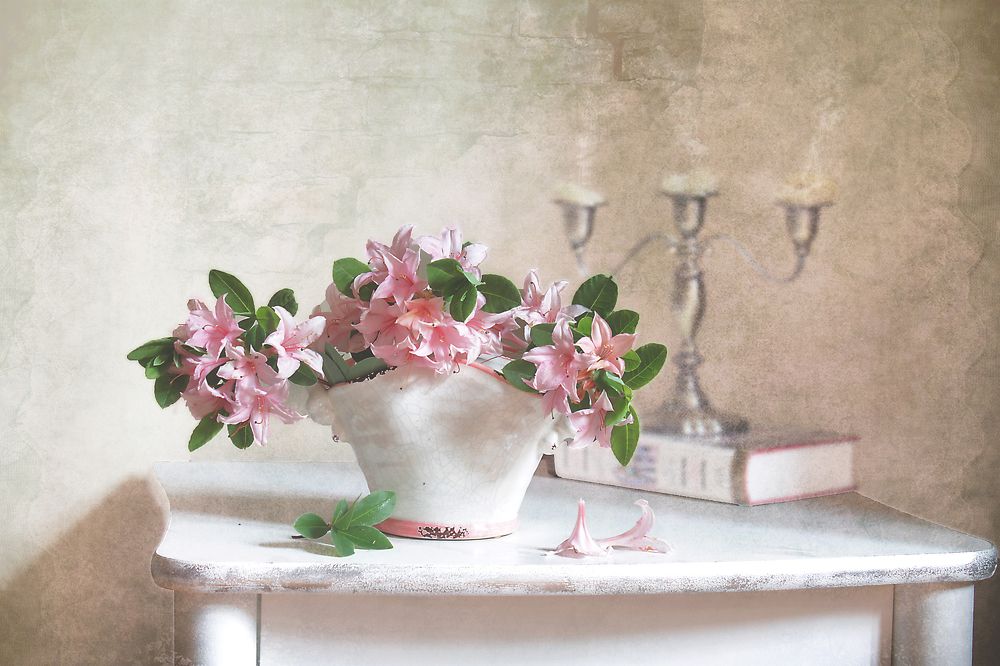 Фотография автора Ганина Галина