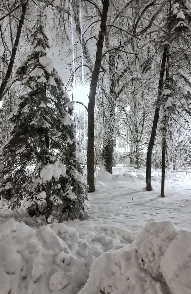 Photograph by Гордеева Ирина