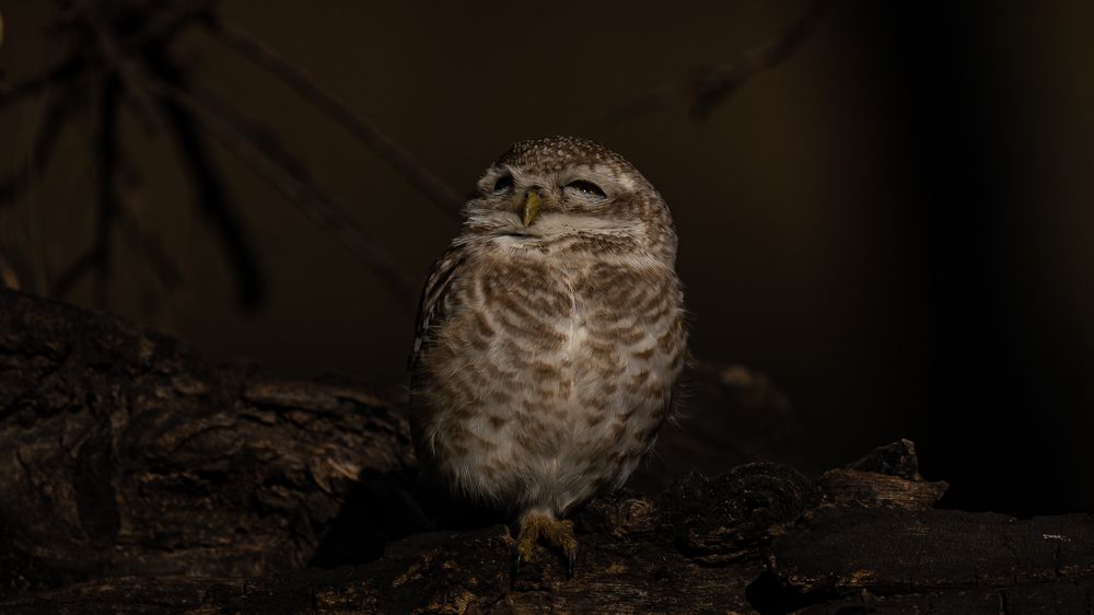 Glitter In The Eyes.. Hope