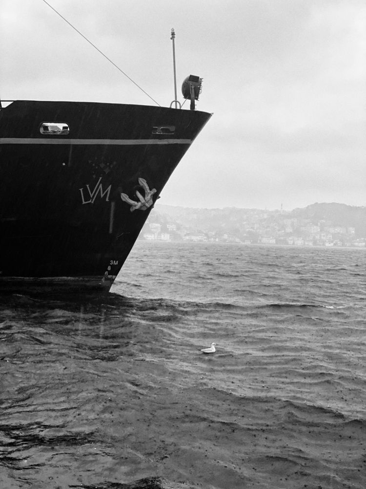 Photograph by Arzu Mammadbayova