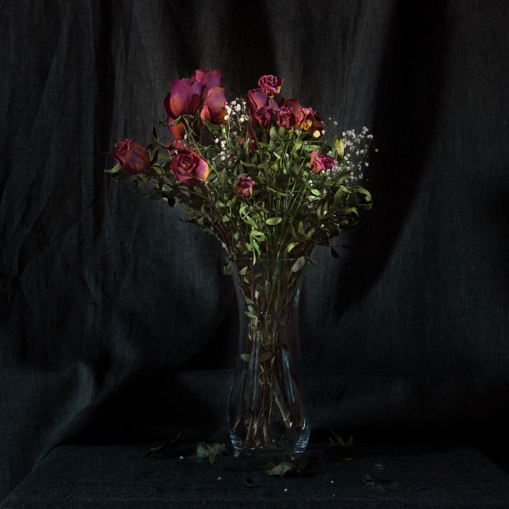 Photograph by Cветлана Ежова