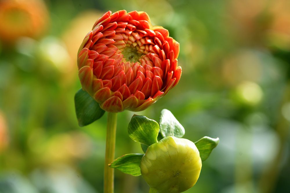 Photograph by Intars Supins