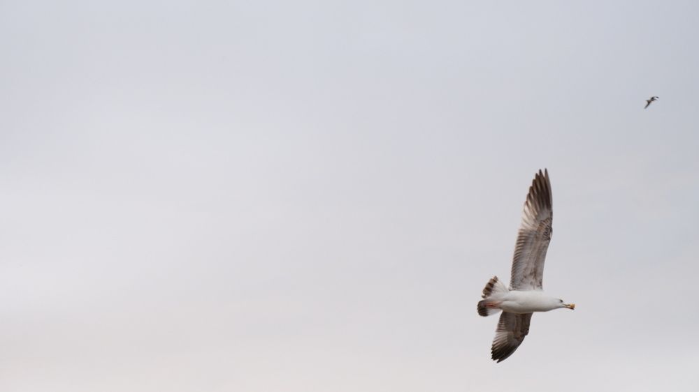 Photograph by Arzu Mammadbayova