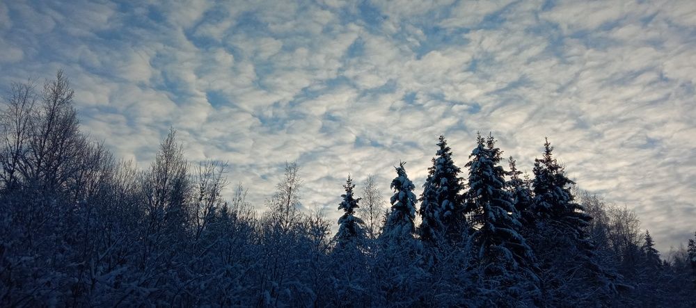 Photo #7120127
