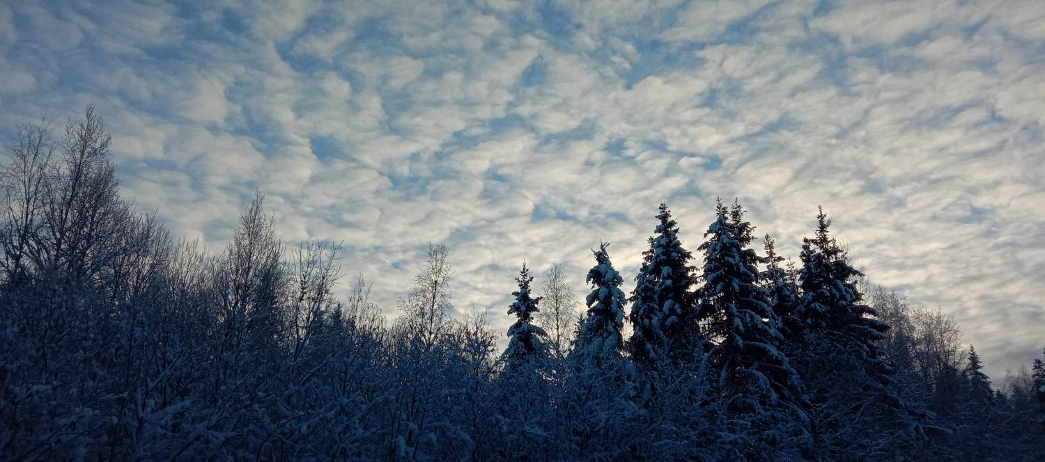 Photo #7120127