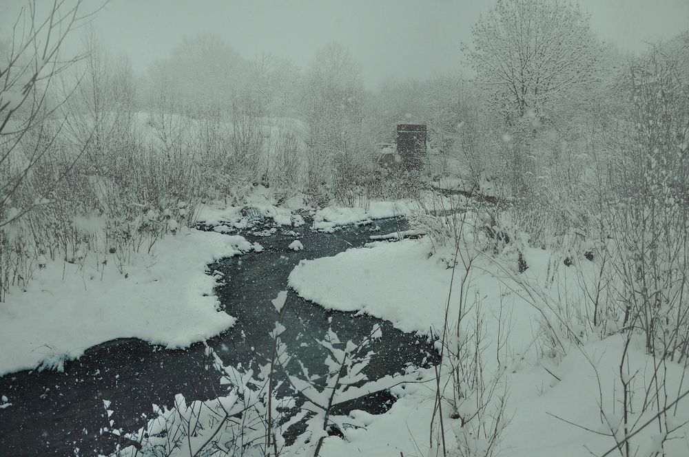 Photograph by Dmitry Borisenko