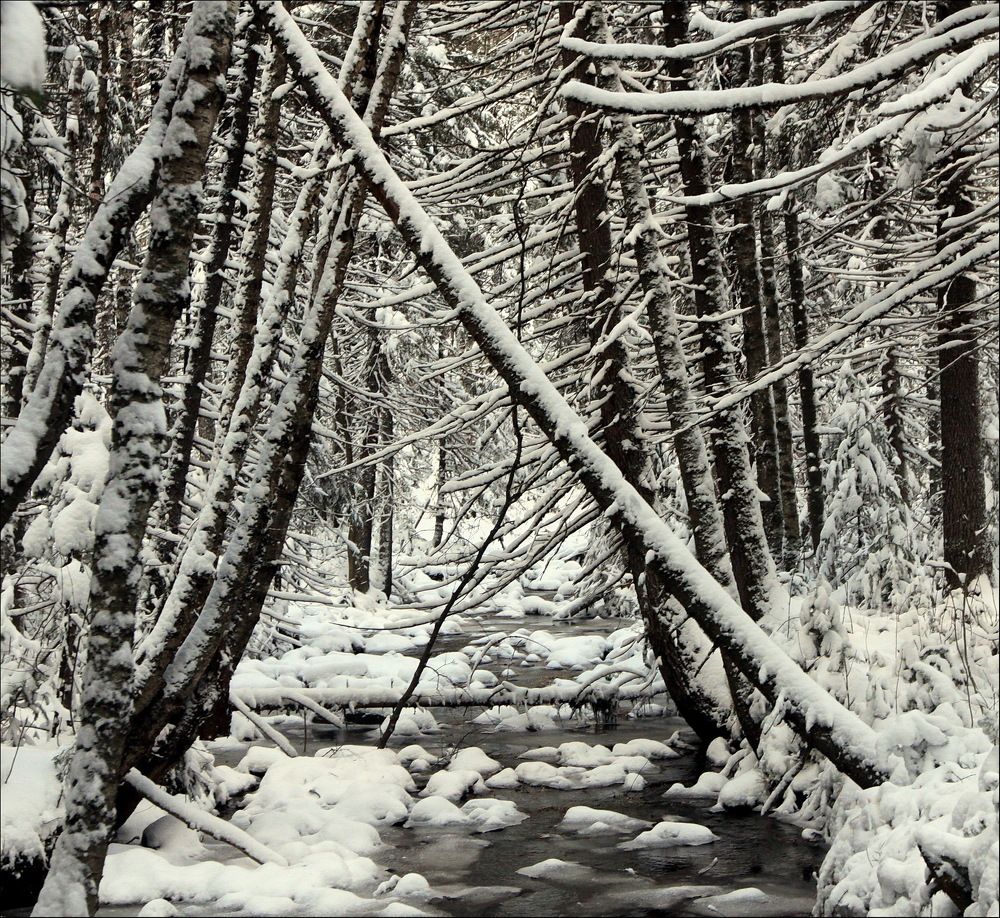 Photograph by Ирина Сушко