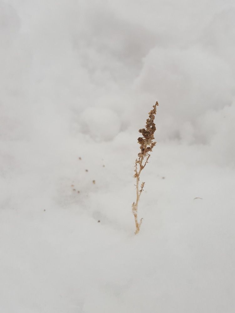 Photograph by Екатерина Воротникова