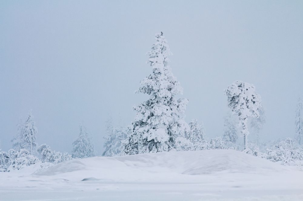 Photograph by Наталия Деркач